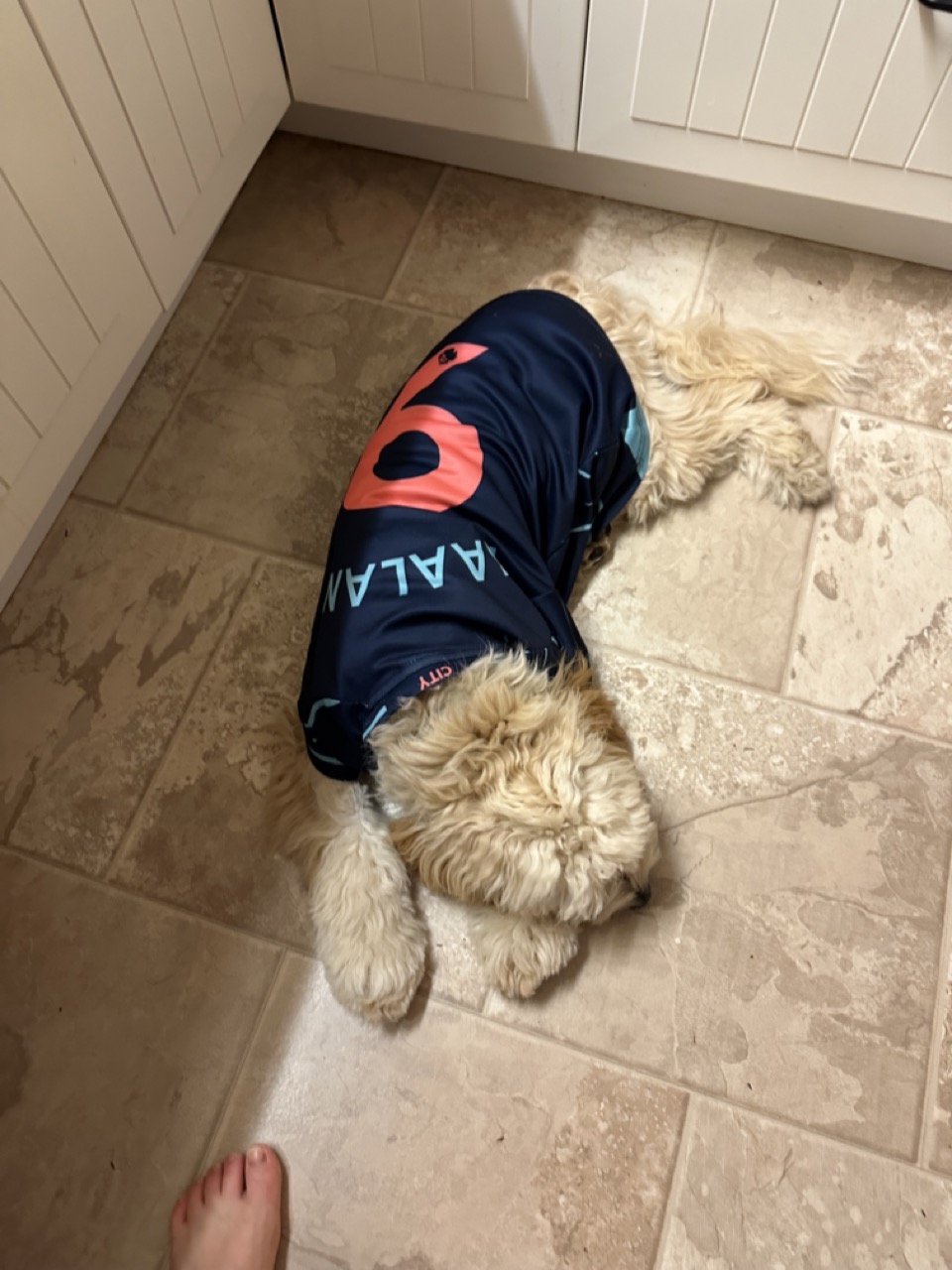 Lucy in Soccer Jersey